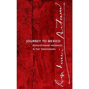 Journey to Mexico - by  Antonin Artaud (Paperback) - 1 of 1