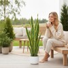 Orieon 3ft Artificial Snake Plant in Pot, Faux Sansevieria Floor Plant for Home Office Decor, Realistic - 4 of 4