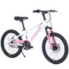KWPZQEB 20 Inch Mountain Bike with Steel Frame, Outdoor Cycling Bike with Dual Disc Brake System & Adjustable Saddle, Kids Bicycles for Boys & Girls - 2 of 4