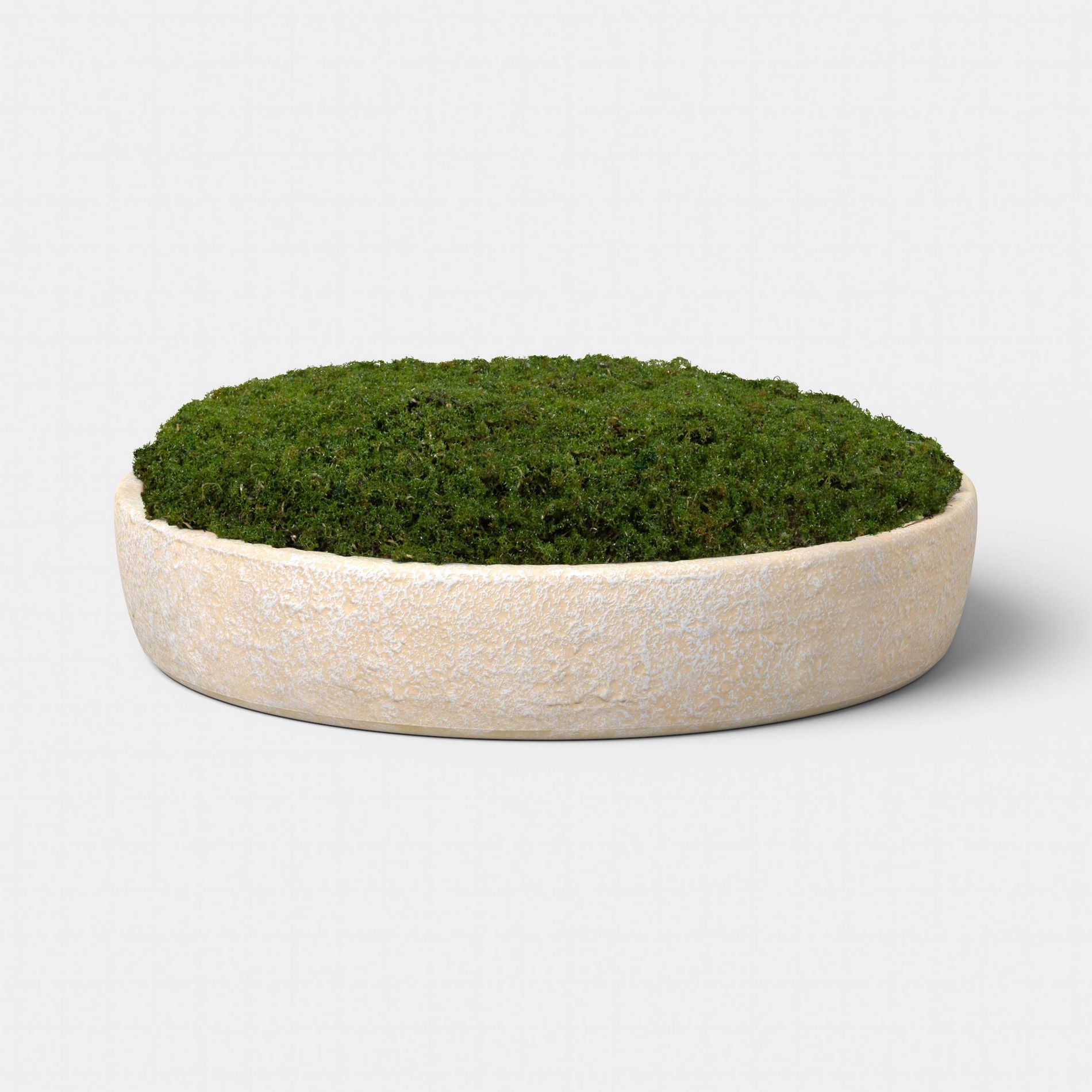 Moss Bowl - Threshold™