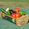 Maine Garden Hod Basket for Vegetable Gardening and Harvest Gathering or Farmhouse Decor, Pine and Oak with PVC Wire Mesh, USA Made - 3 of 4