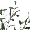 HomeStock  5 ft. Artificial Olive Tree in Pot for Indoor/Outdoor - 3 of 4