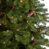 Nearly Natural 10-ft Fraser Fir Artificial Christmas Tree with 780 Multicolor LED Lights and 2327 Bendable Branches - 4 of 4