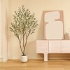 DR.Planzen 5-7FT Artificial Olive Tree with Triple-Trunk Design - Realistic Black Olives & Green Leaves in 9x9" White Plastic Planter for Home Decor - 4 of 4