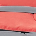 dark gray coral