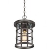 Quoizel Lighting Crusade 1 - Light Pendant in  Palladian Bronze - 3 of 4