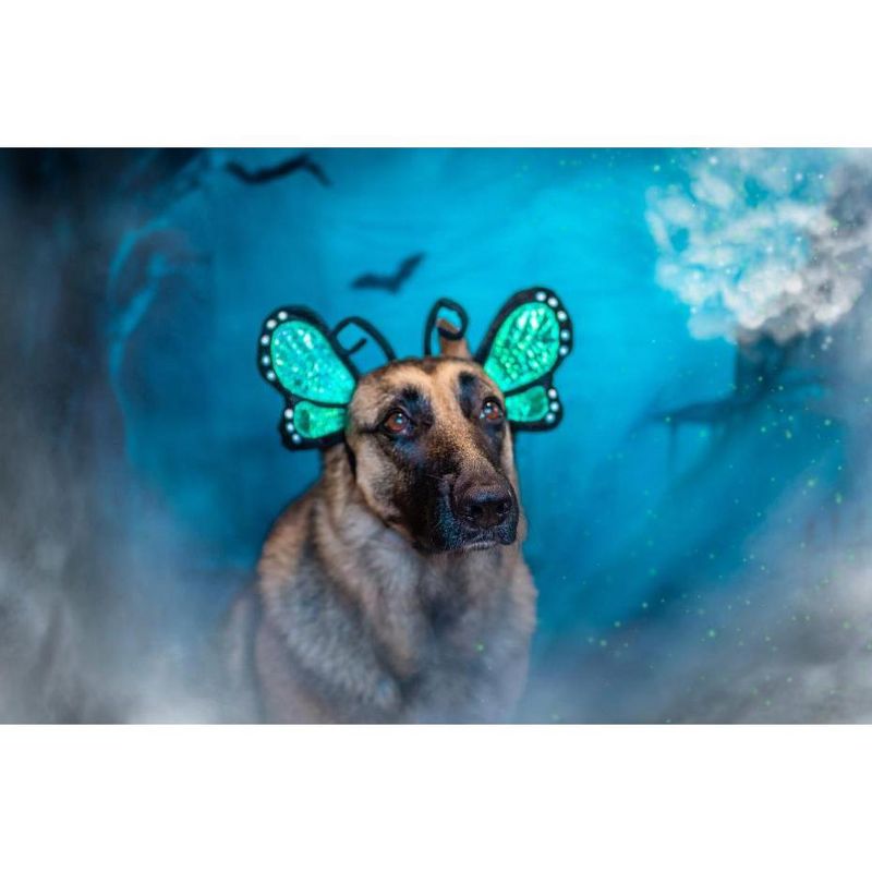 Midlee Blue Butterfly Headband Halloween Dog Costume, 5 of 10