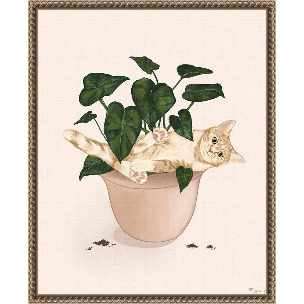 Amanti Art 16x20 Happy House Plant I Cat by Tara Royle Framed Canvas Wall Art Print