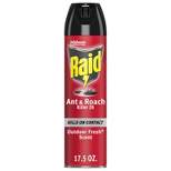 Raid Ant and Roach Killer Outdoor Fresh Scent - 17.5oz