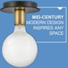 Lark Bobbie 1 - Light Flush Mount in  Lacquered Brass/Black - 4 of 4