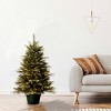 3' Prelit Evergreen Artificial Christmas Tree in Green Pot Clear Lights - National Christmas Tree Company - 2 of 4