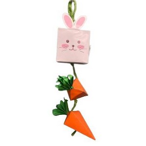 A&E Cage Company Guinea Pig, Rabbit, Gerbil, Mouse, Chinchilla, Ferret, Hamster and Rat Bunny/Carrot Box Interactive Toy - 1 of 1
