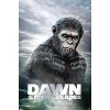 Trends International Dawn of the Planet of the Apes (2014) - One Sheet Unframed Wall Poster Prints - 4 of 4