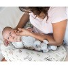 Sweet Jojo Designs Boy or Girl Gender Neutral Unisex Support Nursing Pillow Cover (Pillow Not Included) Farm Animals - 2 of 4
