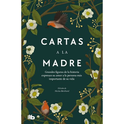 Cartas a la Madre / Letters to Mom - by  Nicolas Bersihand (Paperback)