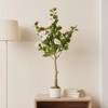 Orieon 4FT Artificial Camellia Tree with Lifelike Pink Flowers, Faux Plant in Pot for Home Office Floor Decor - 4 of 4