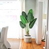 Artificial Tree Bird of Paradise with 10Trunks, 5 Feet Faux Plant Fake Banana Tree Plant with Pot - 4 of 4