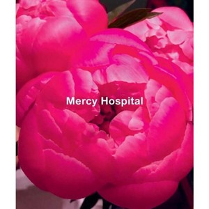 Ida Applebroog: Mercy Hospital - (Hardcover) - 1 of 1