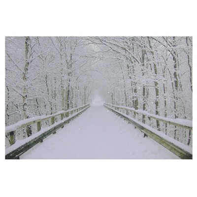 Northlight Large Fiber Optic Lighted Winter Wooden Bridge Canvas Wall Art 23.5" x 15.5"