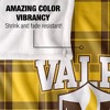 Valparaiso University Campus Plaid Spirit Silky Touch Super Soft Throw Blanket 50x60 - 4 of 4
