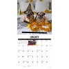 Willow Creek Press 12"x12" 2026 Doug the Pug and Dory Wall Calendar - 3 of 4