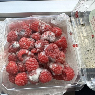 Organic Raspberries - 6oz : Target