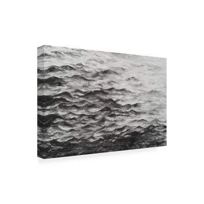 Trademark Fine Art - Michael Willett  Surface Water I Canvas Art - 47 x 30