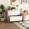 AOBABO 2 Drawer Wide Lateral File Cabinet with Lock, Suitable for Home Office School Hanging Files Letter/Legal/F4/A4 Size,Required-Assembly - 4 of 4