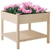 Outsunny 36'' x 36'' Raised Garden Bed with Storage Shelf, 2 Tiers Elevated Wooden Planter Box Stand for Vegetable Flower Herb, Patio and Balcony - 4 of 4