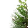 Northlight Real Touch™️ Potted Mixed Pine and Cedar Artificial Christmas Tree - 24" - Unlit - image 4 of 4