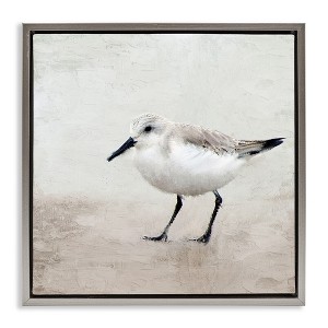 Stupell Industries Lone Sandpiper Bird Portrait, 25" x 25" - 1 of 4