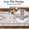 Acekool Washable Vintage Oriental Area Rug, Stain-Resistant Non-Slip Soft Low Pile Carpet for Bedroom, Living Room, Dining, pink4x6 - 4 of 4