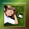 Youtheory Mushroom Stress Complex, Organic Full-Spectrum Mushroom with L-Theanine, Help Reduce Stress and Promotes Sense of Calmness, 60 Vege Capsules - 3 of 4