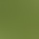 green sea/rain forest