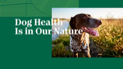 Nutro Natural Choice Chicken, Vegetable and Rice Flavor Senior Dry Dog Food  - 5lbs : Target