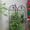 NAYSAYE Planter Set of 2 Metal Garden Trellis Heavy Duty Build Easy Assembly for Indoor and Outdoor Patio Garden, Black, 40.94"*20"*71" - 3 of 4