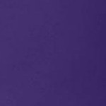 midnight violet