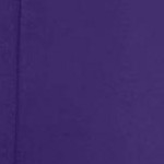 midnight violet