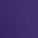 midnight violet