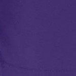 midnight violet