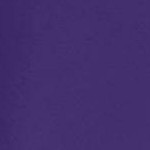 midnight violet