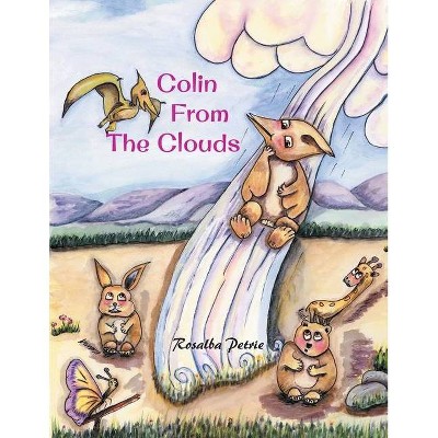 Colin from the Clouds - by  Rosalba Petrie (Paperback)