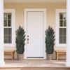 Kumasinova 2-Piece Lifelike Green Artificial Pine Cypress Tree, Fake Plants with Dense Foliage, Weighted Pot, Faux Plant for Indoor and Outdoor - 4 of 4