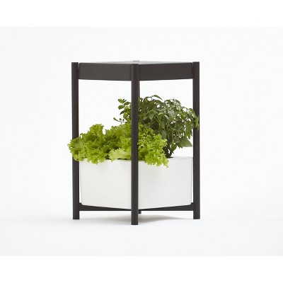 Miracle-Gro Twelve Indoor Growing System