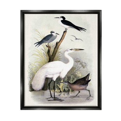 Stupell Industries Varied Crane Birds Gathered Riverbank Stream BotanicalsFloater Canvas Wall Art