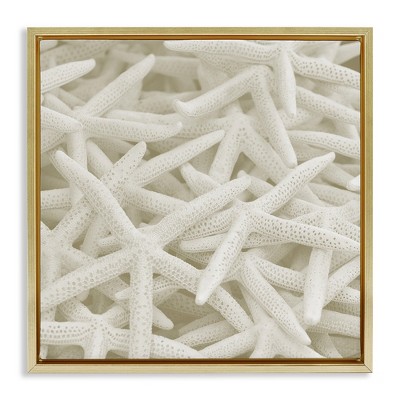 Stupell Industries Nautical White Starfish Photography, 18" x 18"