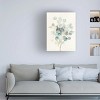 Trademark Fine Art -Danhui Nai 'Eucalyptus III' Canvas Art - 2 of 4