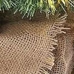 sack flower tree