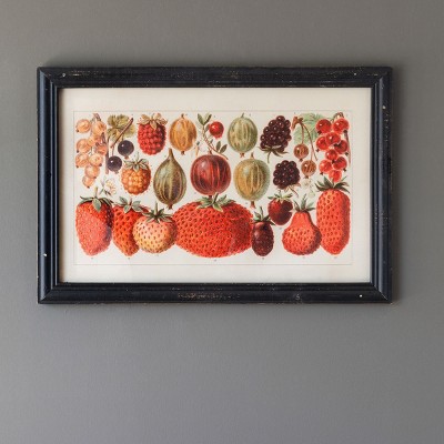 Park Hill Collection Berry Botanical Study Framed Print