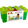 Lego Duplo Foldable Storage Box/Play Mat – TOYCYCLE